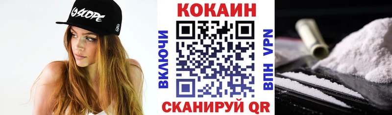 Cocaine Fish Scale  Купить закладки  Павлово 