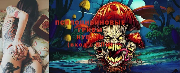 гашик Кодинск