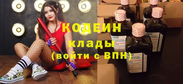 гашик Кодинск