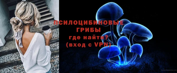 гашик Кодинск