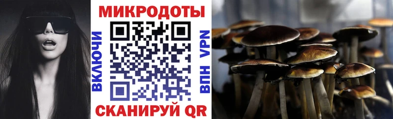 Псилоцибиновые грибы Psilocybine cubensis  Купить  Павлово 